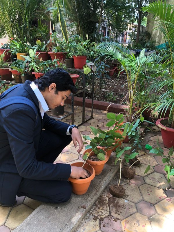 World Environment Day 2026 - Image 2